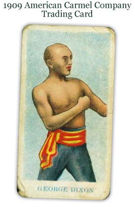 plaer card